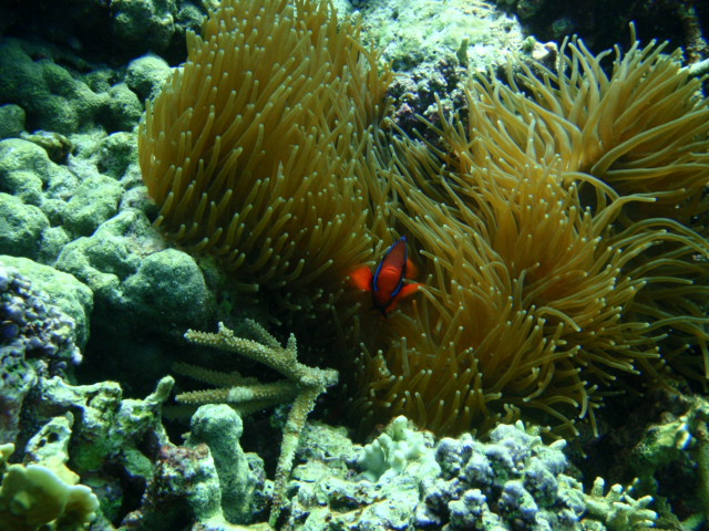 d0252505_19281253.jpg