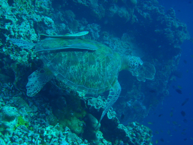 d0252505_1929472.jpg