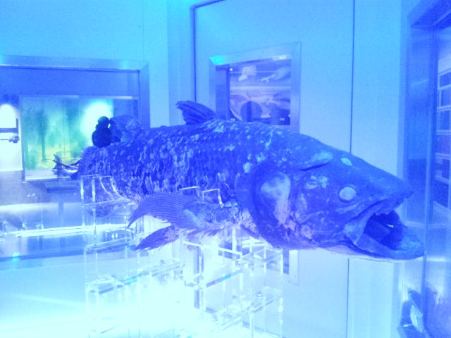e0015108_9103958.jpg