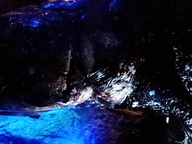 e0015108_9293159.jpg