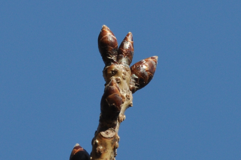 c0143411_23551263.jpg