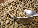 e0145711_0454533.jpg