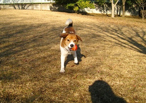 c0084117_1844326.jpg