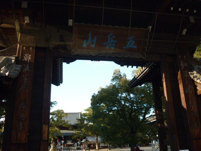 d0178017_1132214.jpg