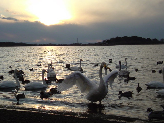 c0213619_7455474.jpg