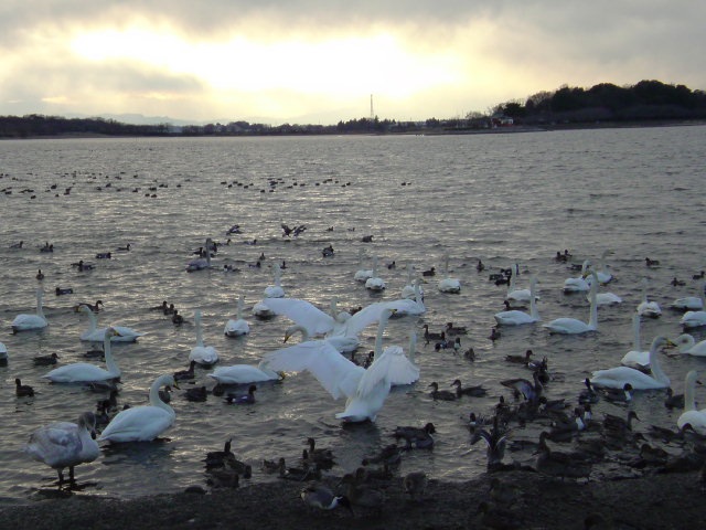 c0213619_7492951.jpg