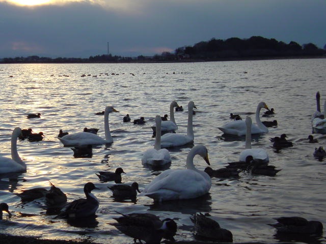 c0213619_7532292.jpg