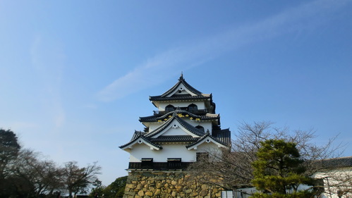 b0186321_2023331.jpg