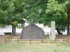 f0000521_8325494.jpg