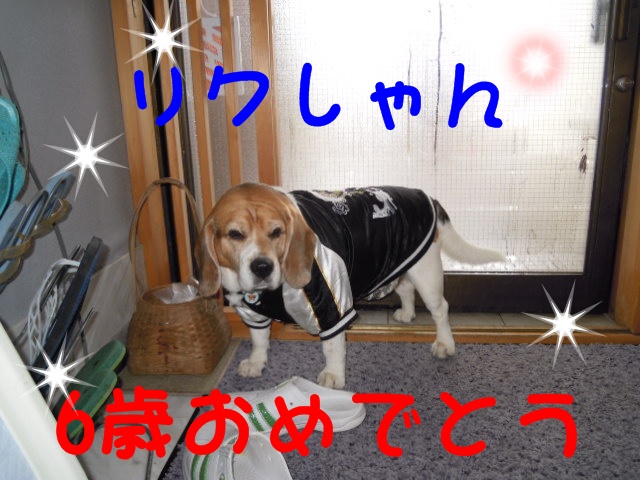 c0166622_13525375.jpg