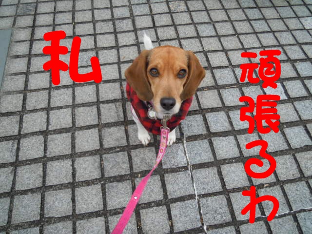 c0166622_14254960.jpg