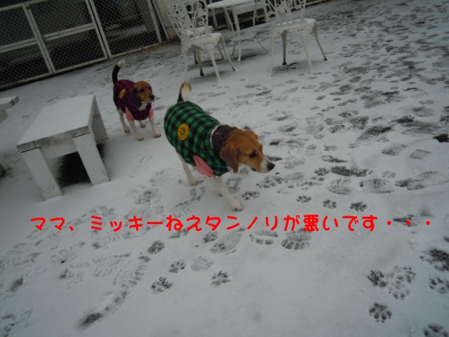 c0166622_14423942.jpg