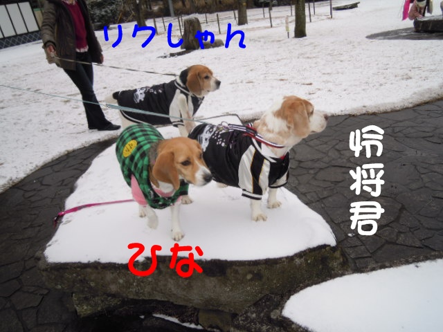 c0166622_1444123.jpg