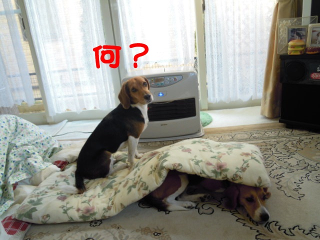 c0166622_14443080.jpg