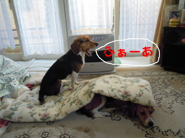 c0166622_14443877.jpg