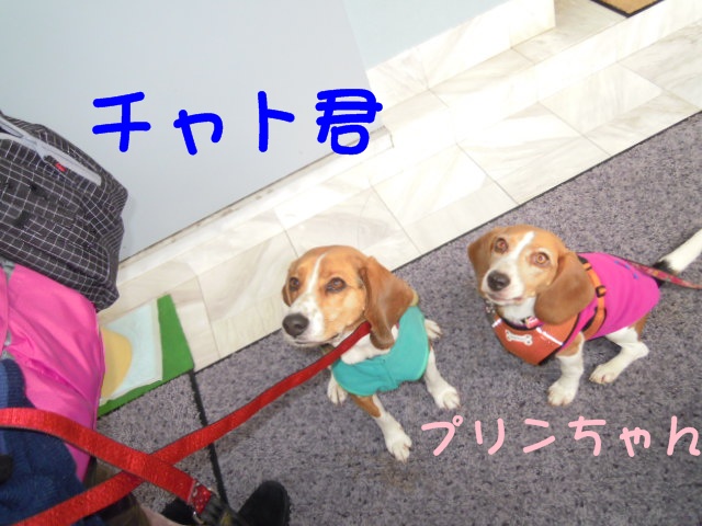 c0166622_1462133.jpg