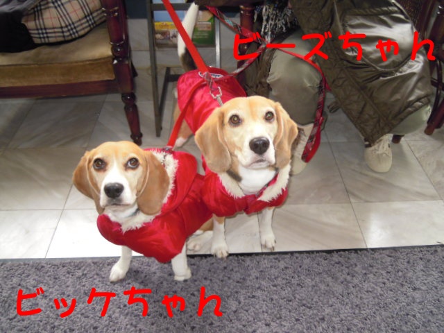 c0166622_146983.jpg