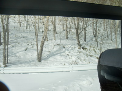 f0000425_19282735.jpg