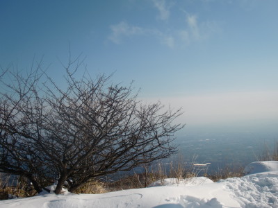 f0000425_193630100.jpg