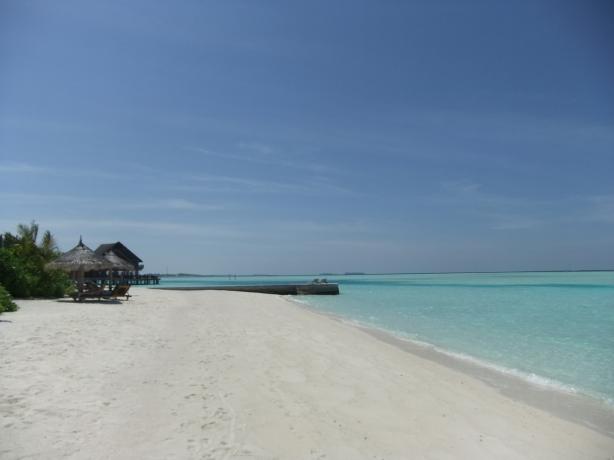 a0122532_23534369.jpg