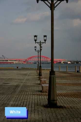 c0227134_846101.jpg