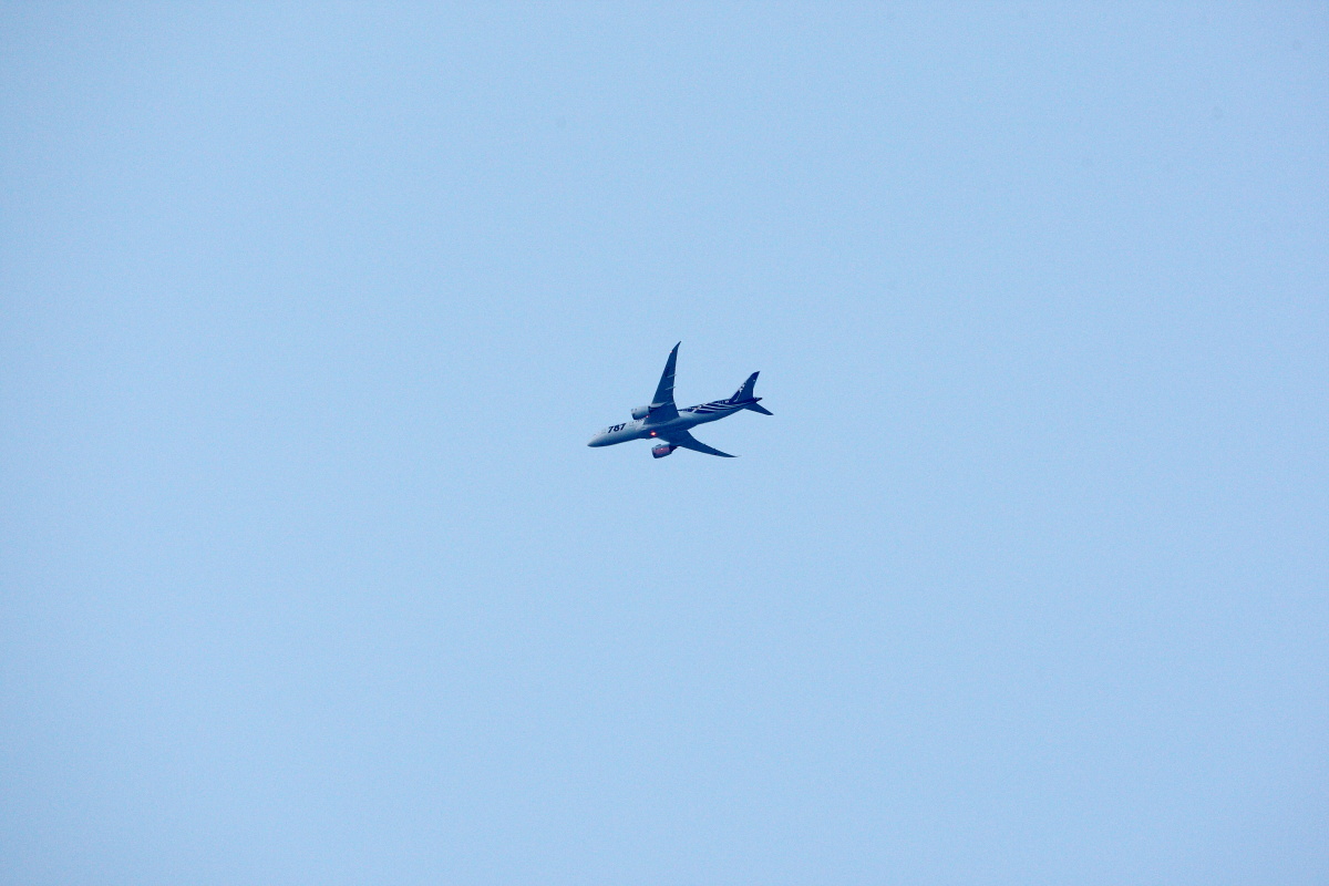 c0169436_024531.jpg