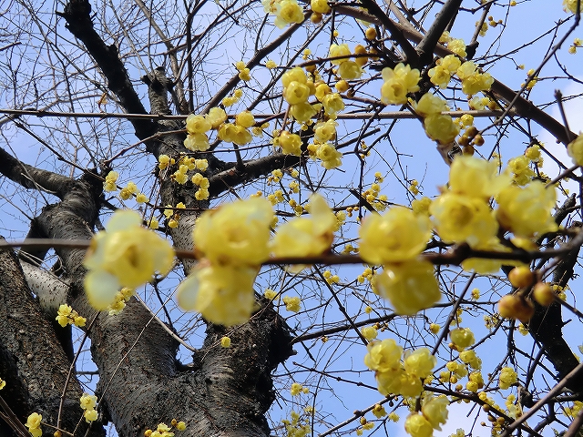 b0029438_0253549.jpg
