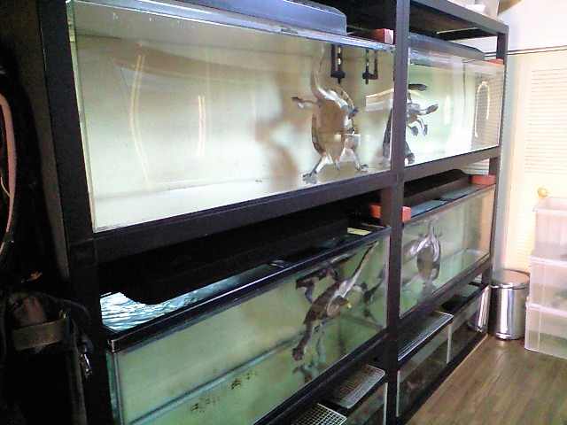 e0119439_2312201.jpg
