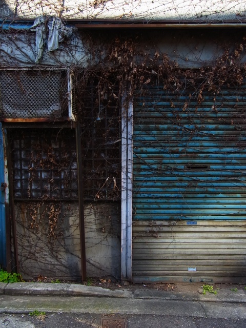 a0087341_22175299.jpg