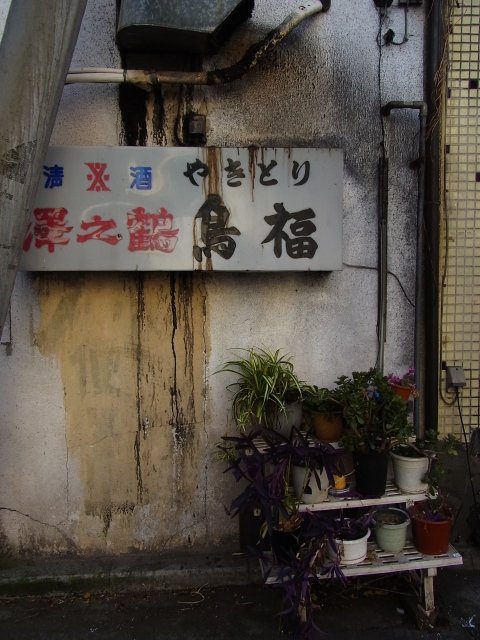 a0087341_22244629.jpg