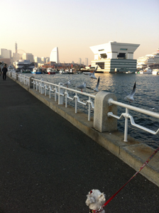 e0077142_1050019.jpg