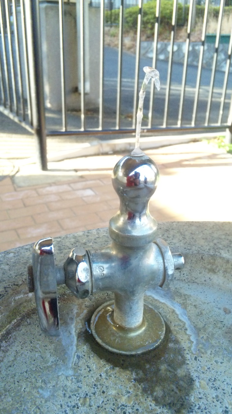 e0121548_19225318.jpg