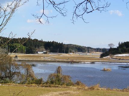 b0220251_549155.jpg
