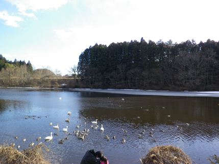 b0220251_702114.jpg