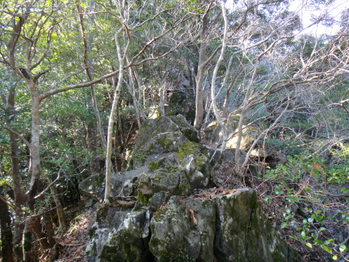 c0179351_11542242.jpg