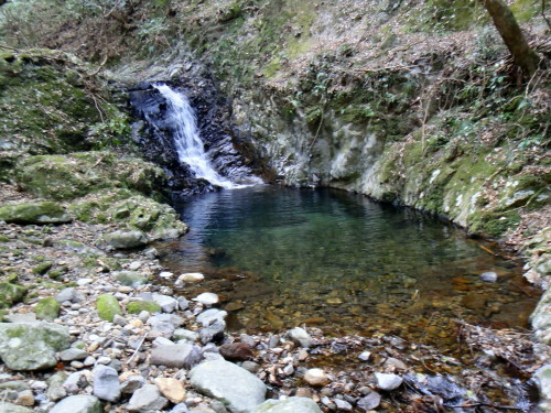 c0179351_12105088.jpg