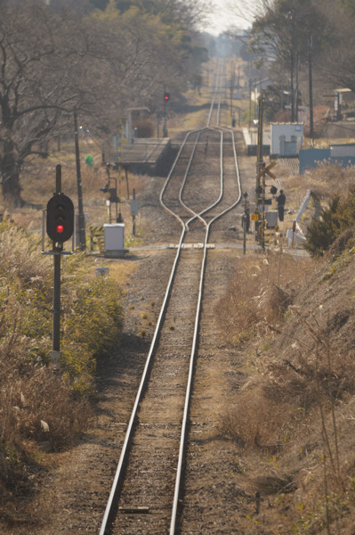 e0131355_2335674.jpg