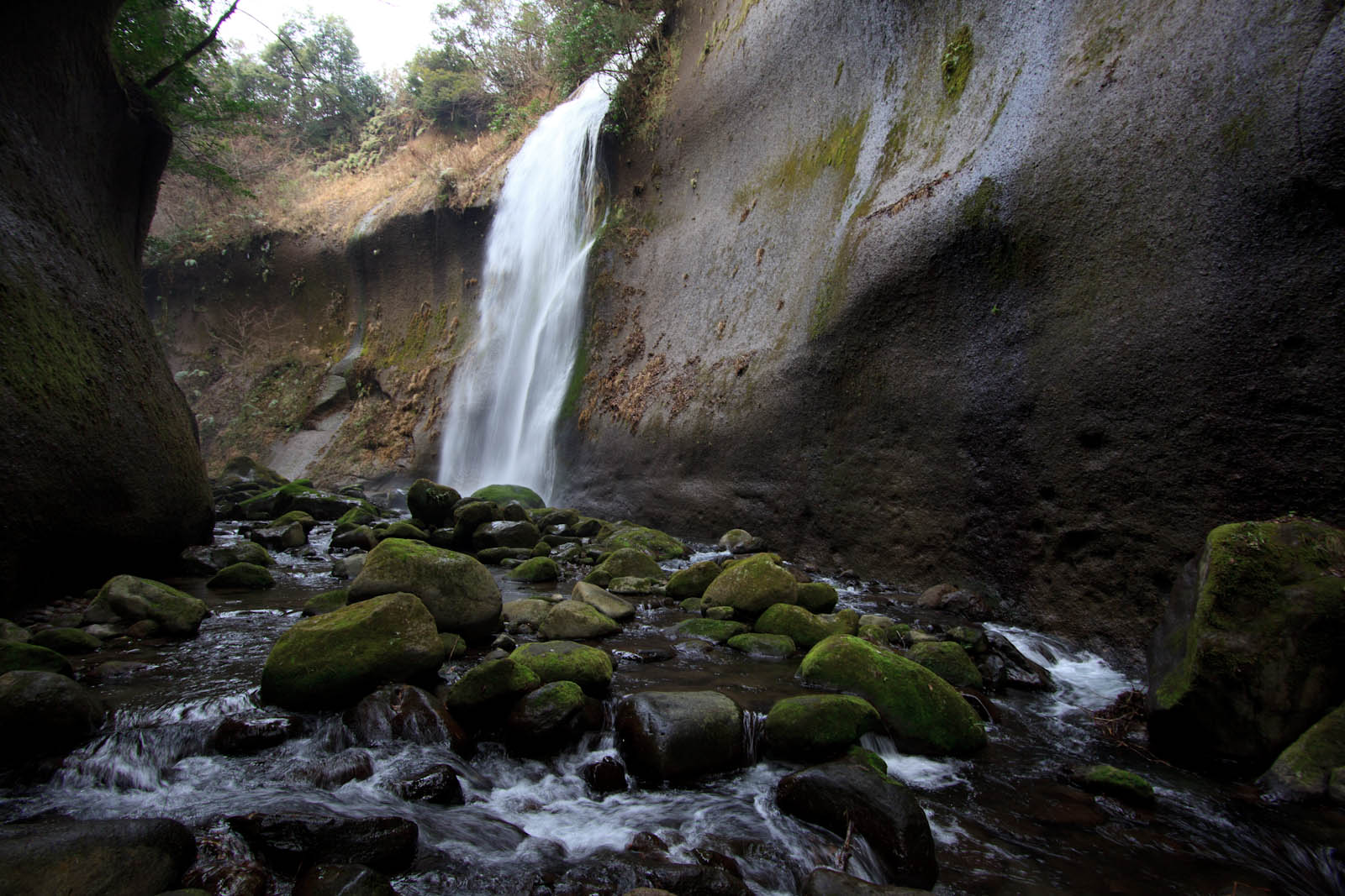 b0032262_2056728.jpg