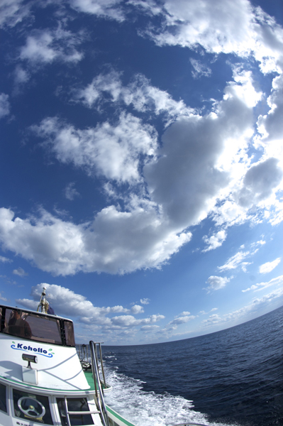 b0062363_21145352.jpg