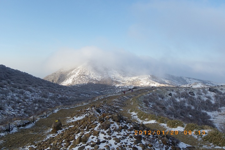 f0016066_106225.jpg