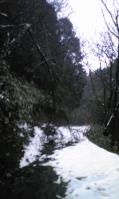 e0143667_11135247.jpg