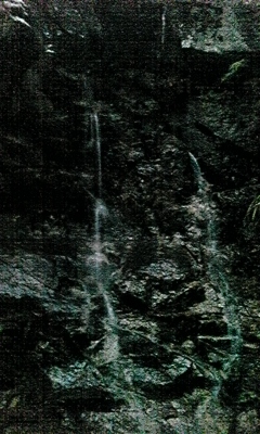 e0143667_11195347.jpg