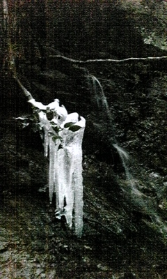 e0143667_1121234.jpg