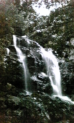 e0143667_11365552.jpg