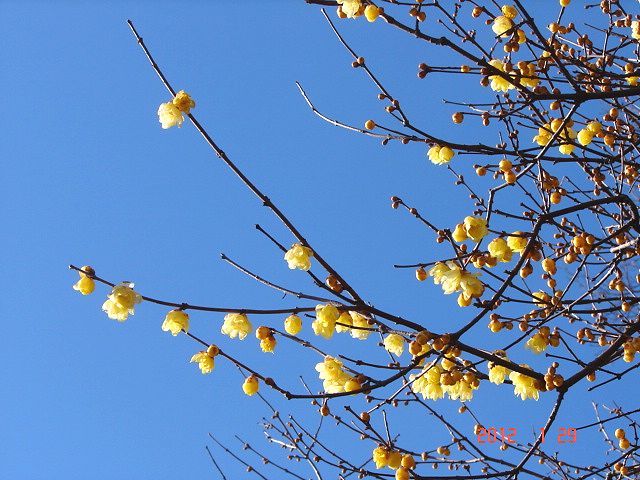 f0104277_14411146.jpg