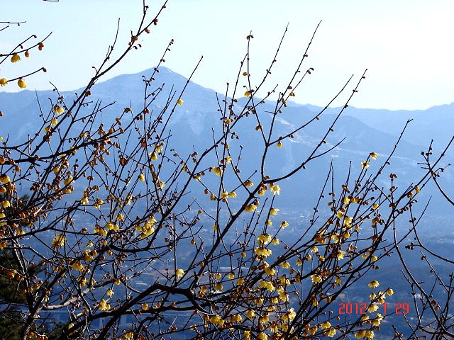 f0104277_14424867.jpg
