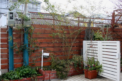 e0154682_1542415.jpg
