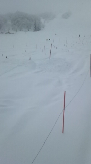 e0070286_18254954.jpg