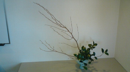d0073487_20115255.jpg