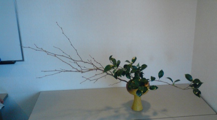 d0073487_2011630.jpg